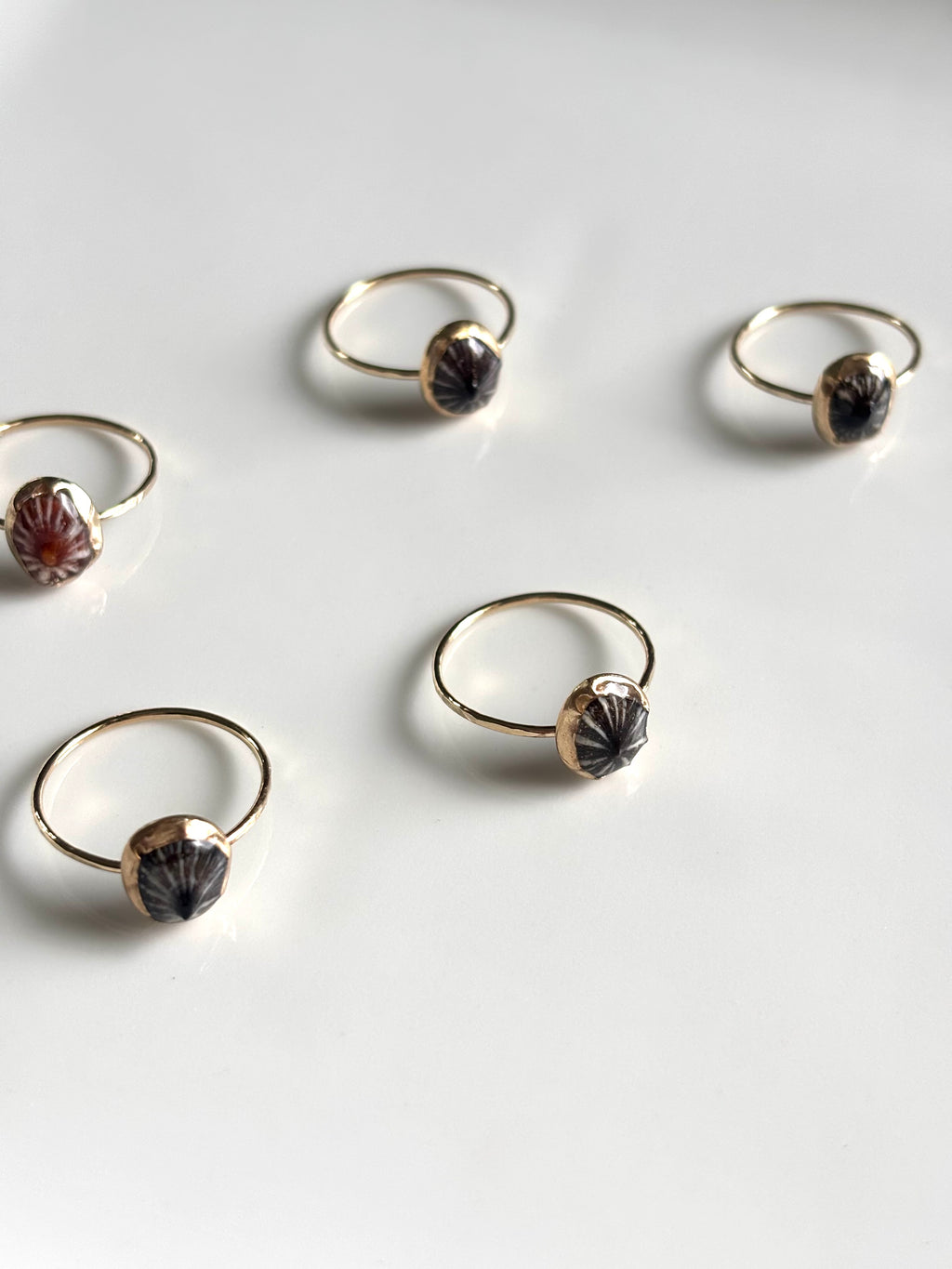 ‘OPIHI ‘AWA RINGS
