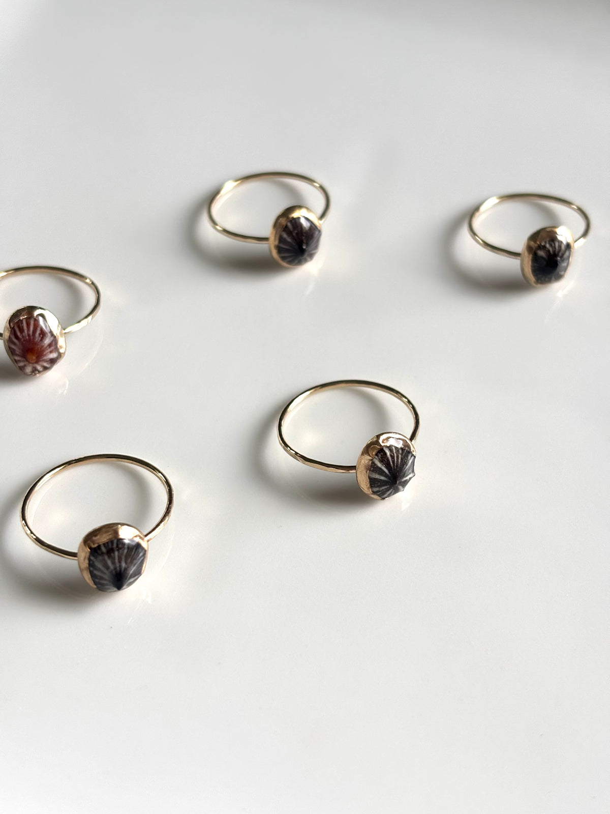 ‘OPIHI ‘AWA RINGS