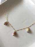 ‘EKOLU CONE SHELL STATEMENT
