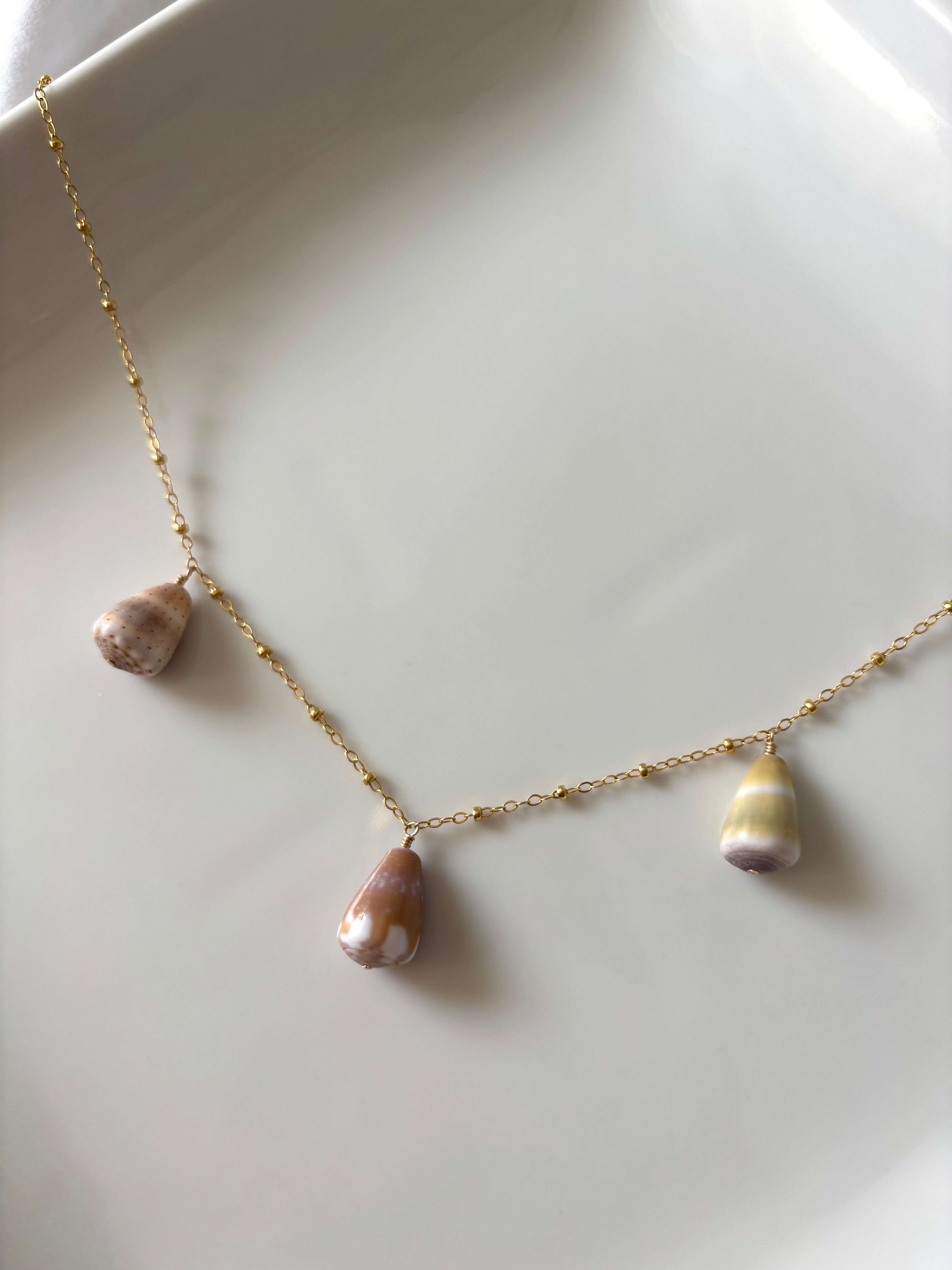 ‘EKOLU CONE SHELL STATEMENT