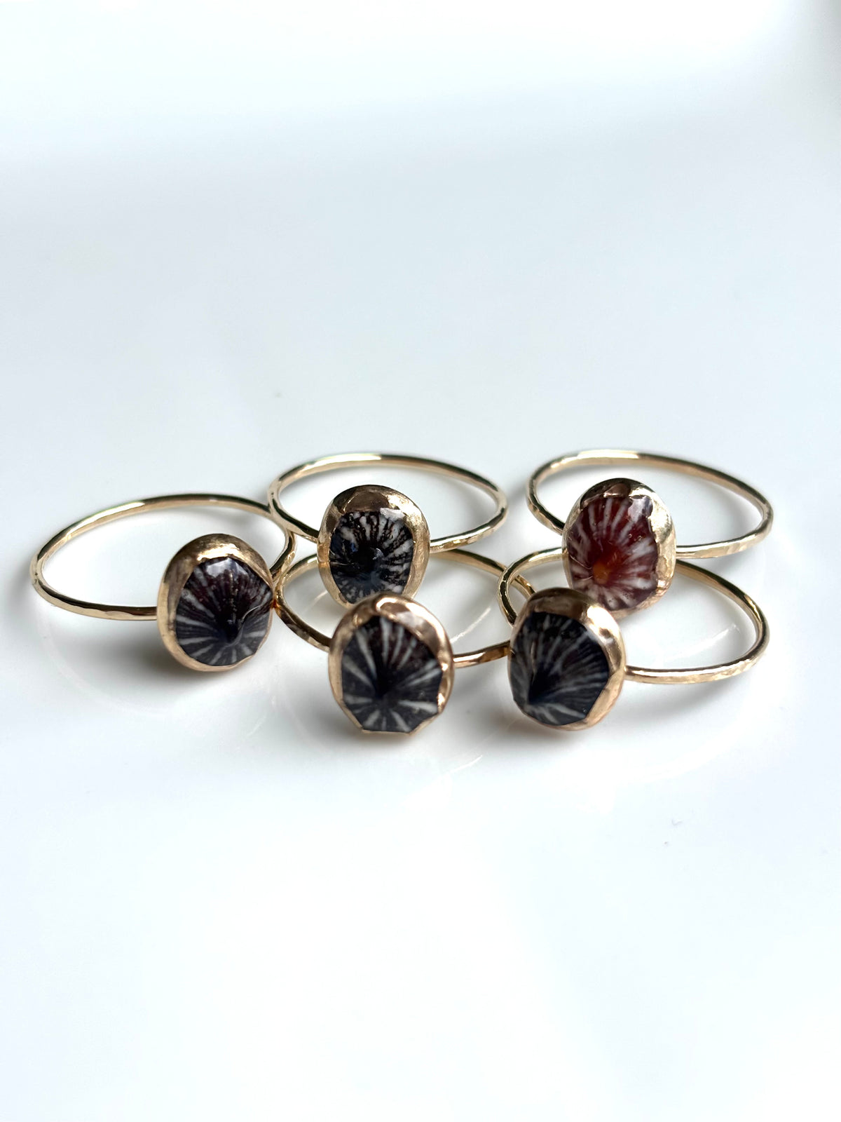 ‘OPIHI ‘AWA RINGS